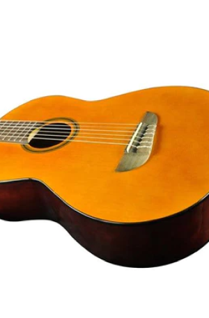 Guitarra Acústica Eko Flame 4/4 06204724